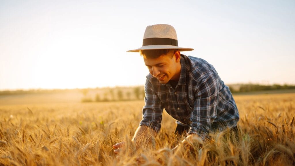 Crédito Rural: Taxas, Quem Acessa e Vale a Pena?